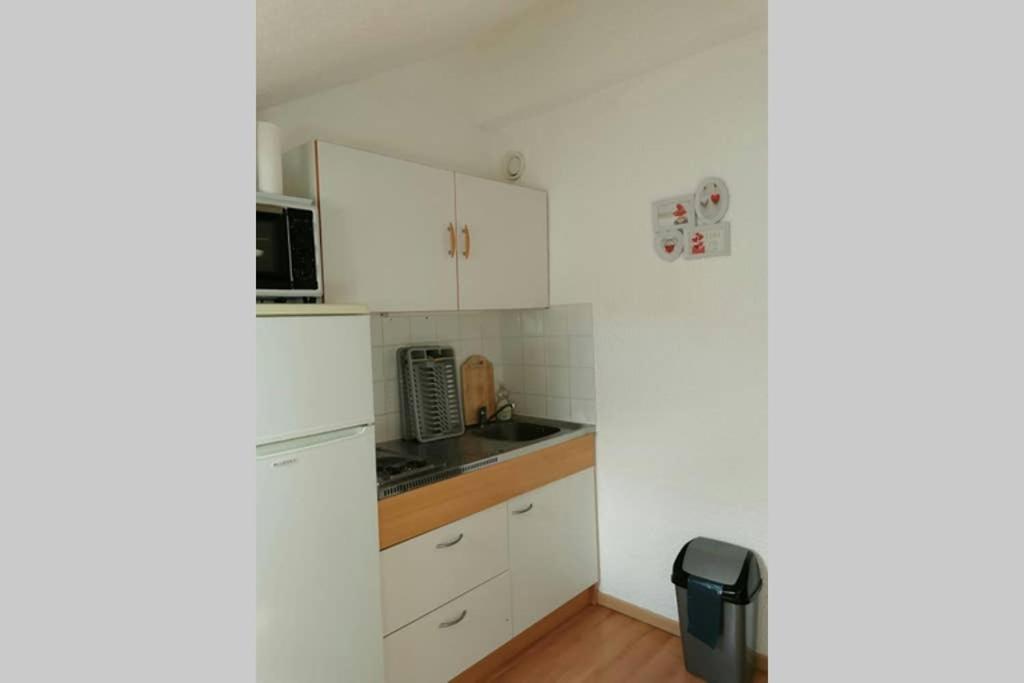 Petit Studio Mansarde 18 M2 Avec Navette Gratuit Aux Pistes De Ski Gresse-en-Vercors Exterior foto